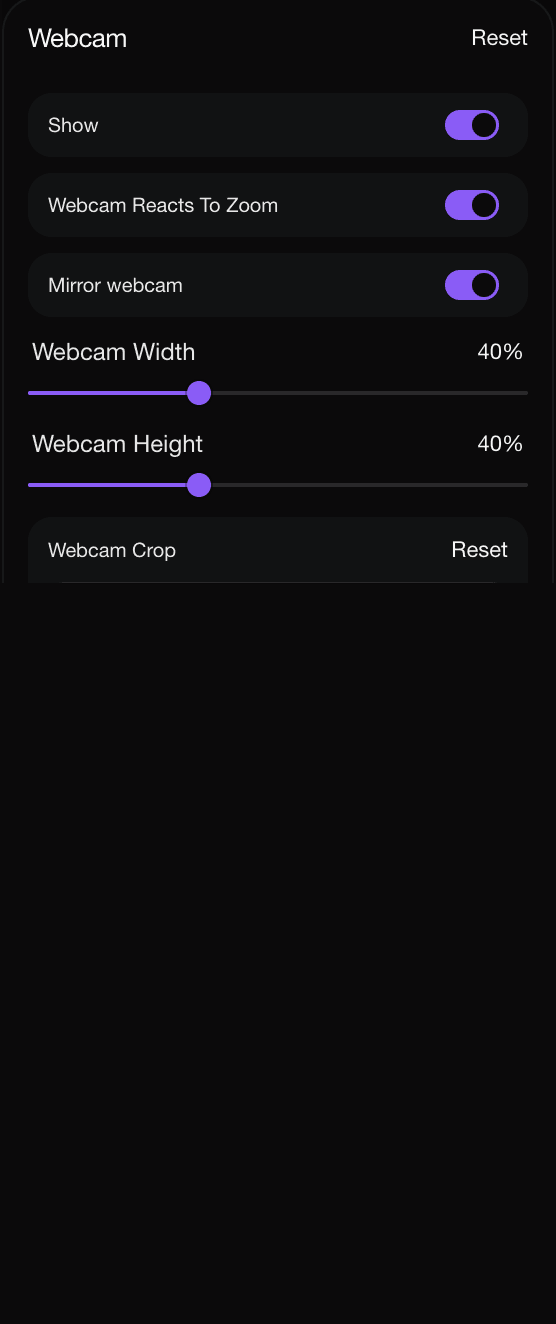 Webcam panel with mirror, crop, size, and position controls